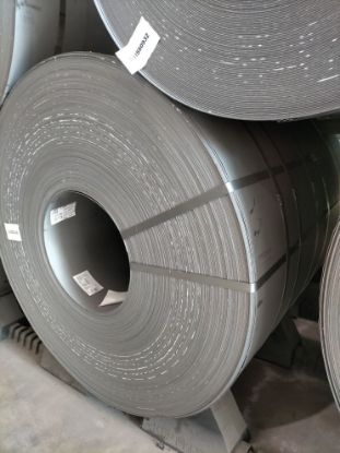 Immagine di 2202898146